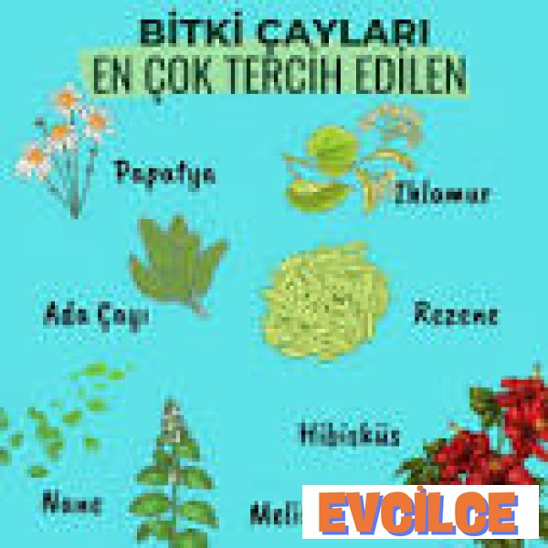 Bitki Çayları Isimleri Resimli