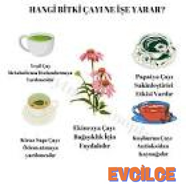 Bitki Çayları Ne Işe Yarar?