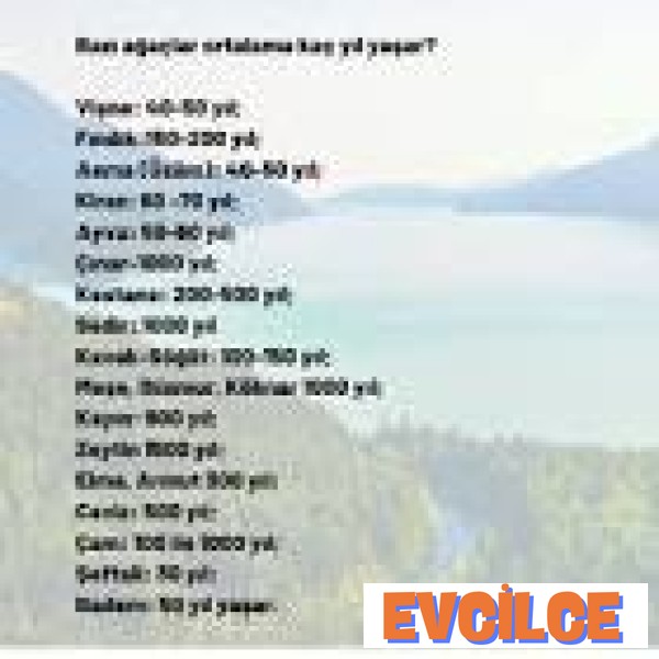 Elma Ağacı Kaç Yıl Yaşar?