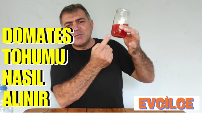Domates Tohumları Nasıl Saklanır