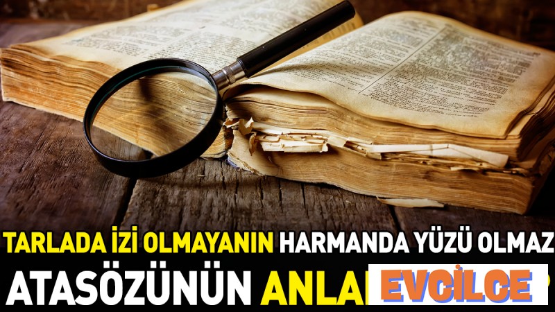 Tarlada Izi Olmayanın Harmanda Yüzü Olmaz Atasözünün Anlamı