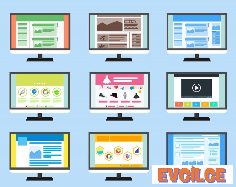 Web Tasarımcısı